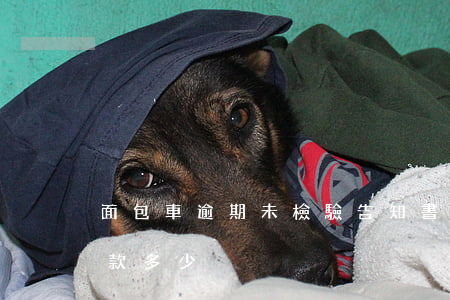 面包車逾期未檢驗告知書(面包車逾期年檢罰款多少)