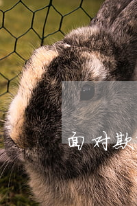 面对欺诈离婚怎么办