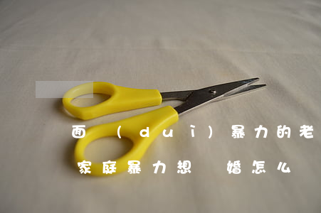面對(duì)暴力的老公該離婚嗎(老公有家庭暴力想離婚怎么辦)