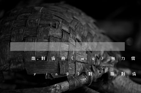 面對債務(wù)無力償還我們該如何應(yīng)對-面對債務(wù)無力償還我們該如何應(yīng)對呢