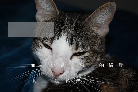 面對恒易貸高額的逾期費怎么辦-恒易貸逾期費是多少