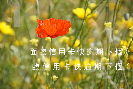 面臨信用卡快逾期下個(gè)月還不上(面臨信用卡快逾期下個(gè)月還不上怎么辦)