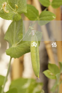 面臨信用卡逾期要開(kāi)庭該怎么辦