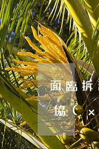 面臨拆遷簽分家協(xié)議遺漏繼承人，協(xié)議被判無效