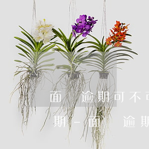 面臨逾期可不可以和平臺(tái)溝通延期-面臨逾期可不可以和平臺(tái)溝通延期還款
