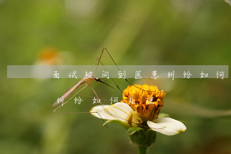 面试被问到医患纠纷如何处理(面试发生医患纠纷如何处理)