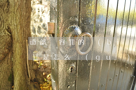 面部毀容罪的標(biāo)準(zhǔn)是怎么規(guī)定的（面部被毀容可以提起附帶民事訴訟嗎）
