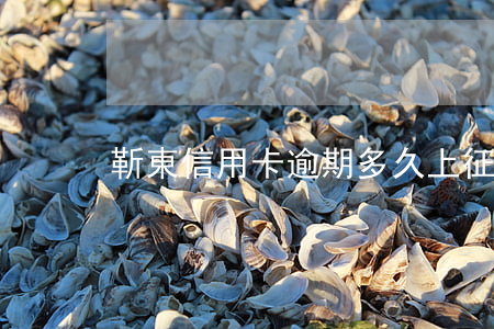 靳東信用卡逾期多久上征信