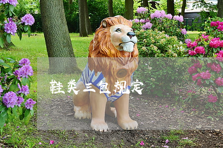 鞋类三包规定