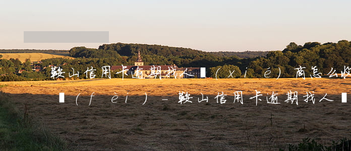 鞍山信用卡逾期找人協(xié)商怎么收費(fèi)-鞍山信用卡逾期找人協(xié)商怎么收費(fèi)呢