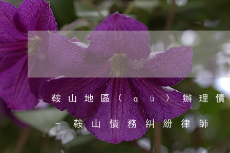 鞍山地區(qū)辦理債務合同律師找誰好-鞍山債務糾紛律師