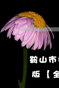 鞍山市扬尘污染防治条例2023最新修正版【全文】