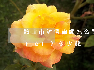 鞍山市討債律師怎么委托(鞍山律師咨詢費(fèi)多少錢)