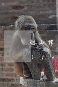鞍山律師援助(鞍山律師事務(wù)所免費(fèi)咨詢)