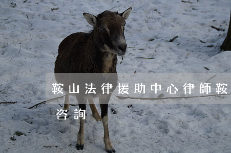 鞍山法律援助中心律師(鞍山律師事務所免費咨詢)