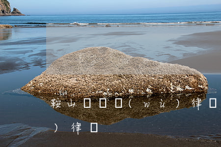 鞍山請債務(wù)律師(鞍山請債務(wù)律師)