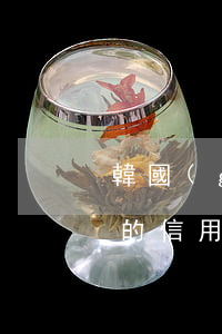 韓國(guó)人欠信用卡 韓國(guó)的信用卡