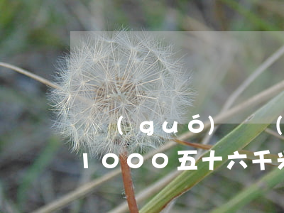 韓國(guó)針對(duì)信用卡逾期(1000 五十六千米)
