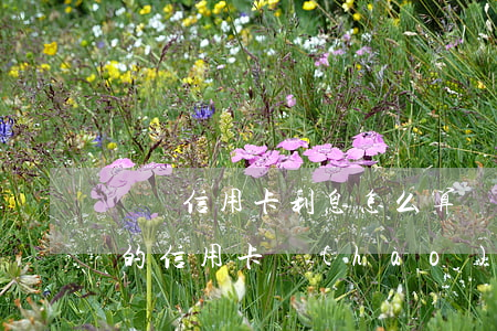 韓國信用卡利息怎么算(韓國真實(shí)的信用卡號(hào)碼大全)