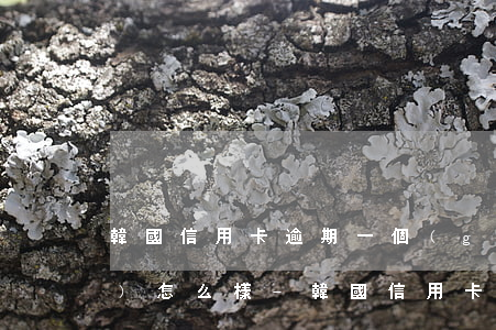 韓國信用卡逾期一個(gè)月會(huì)怎么樣-韓國信用卡逾期一個(gè)月會(huì)怎么樣嗎