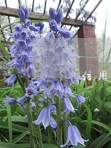 韓國信用卡逾期了嗎
