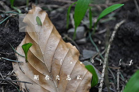 韓國學(xué)費(fèi)分期付款逾期未交怎么辦-韓國學(xué)費(fèi)分期付款逾期未交怎么辦啊