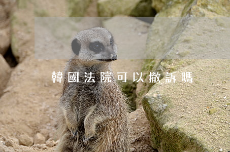 韓國法院可以撤訴嗎
