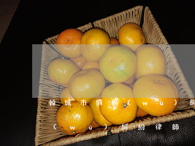 韓城市債務(wù)糾紛律師-韓城市債務(wù)糾紛律師