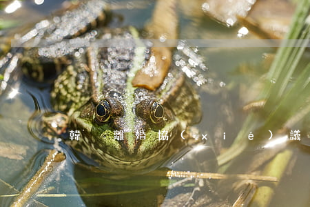 韓娛離婚協(xié)議