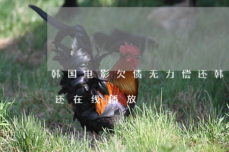 韩国电影欠债无力偿还(韩国电影欠债无力偿还在线播放)