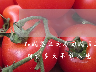 韩国签证逾期回国后还能入境吗(韩国签证到期前多久不能入境)
