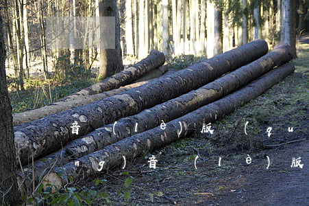 音樂(lè)版權(quán)申請(qǐng)(音樂(lè)版權(quán)申請(qǐng)書(shū))