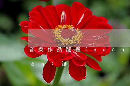音樂作品版權(quán)怎么轉(zhuǎn)讓