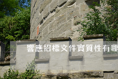 響應招標文件實質性有哪些要求和條件