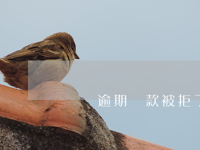 響錢貓逾期還款被拒了