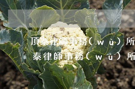 頂泰律師事務(wù)所收費(fèi)(頂泰律師事務(wù)所電話)
