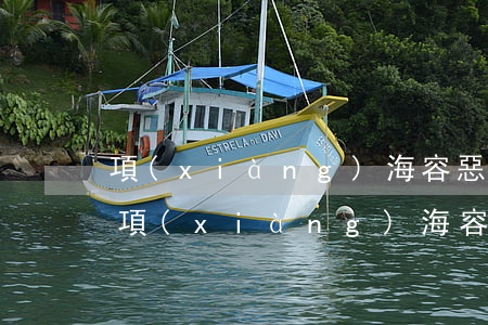 項(xiàng)海容惡意透支信用卡一案(項(xiàng)海容惡意透支信用卡一案)