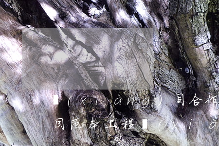 項(xiàng)目合作協(xié)議合同范本(工程項(xiàng)目合作協(xié)議合同范本)