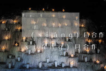 項(xiàng)目合作合同范本(工程項(xiàng)目合作協(xié)議合同范本)