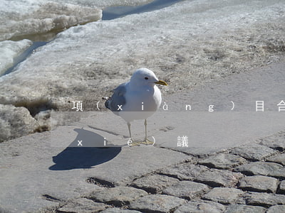 項(xiàng)目合作開發(fā)協(xié)議