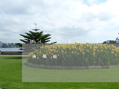 項(xiàng)目委托函的格式范文(委托函模板)