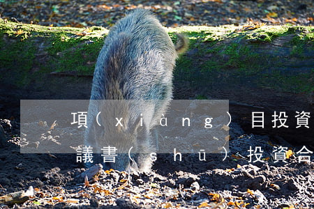 項(xiàng)目投資合作協(xié)議書(shū)(投資合作協(xié)議書(shū)和合同)