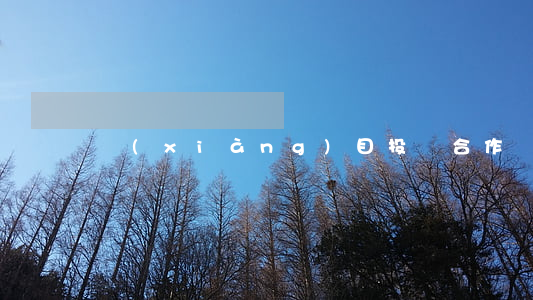 項(xiàng)目投資合作協(xié)議書