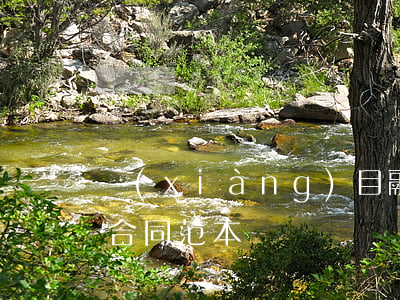 項(xiàng)目融資顧問服務(wù)合同范本
