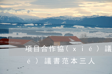 項目合作協(xié)議(項目合作協(xié)議書范本 三人)