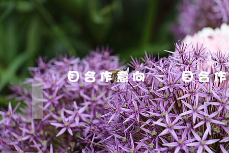 項目合作意向書(項目合作意向書怎么寫)