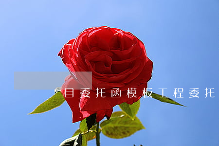 項目委托函模板(工程委托付款函模板)