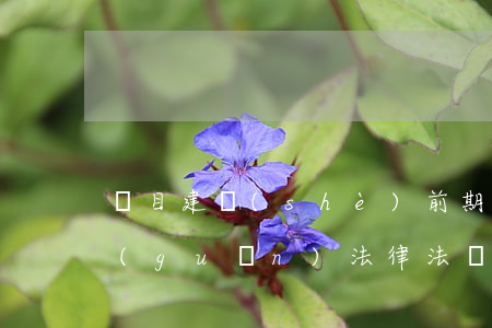 項目建設(shè)前期手續(xù)相關(guān)法律法規(guī)(建設(shè)工程項目管理需要哪些法律法規(guī))