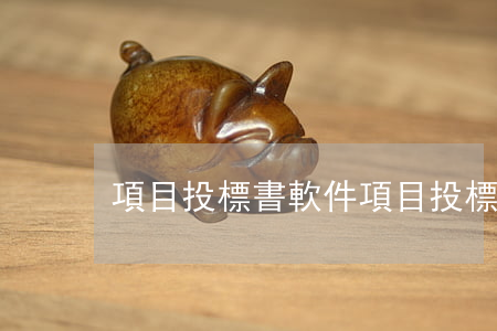 項目投標書(軟件項目投標書)