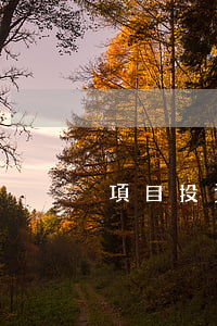 項目投資合作協(xié)議書有什么用